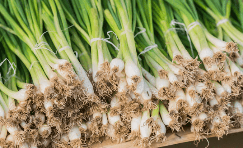 how to grow onion