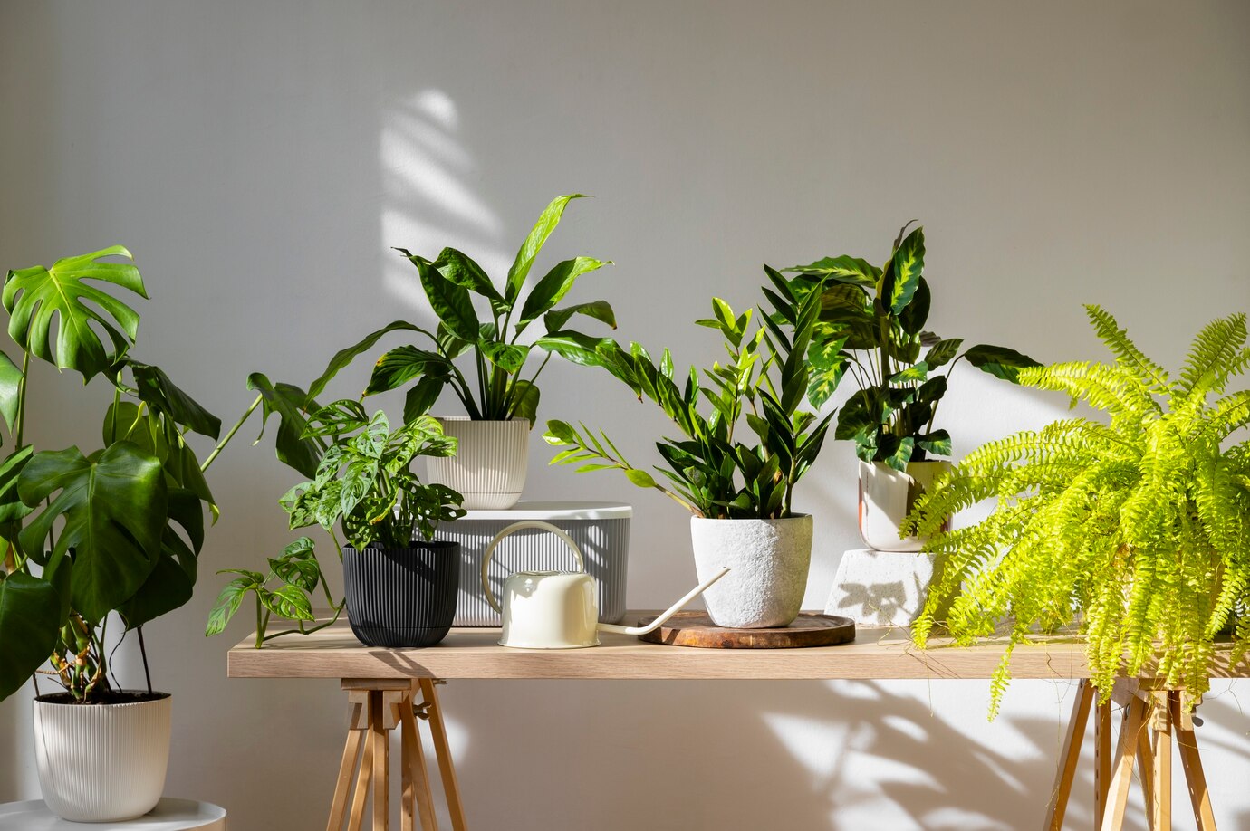 Best Bedroom Plants